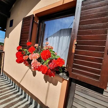 Kuca Za Odmor Juraj - Apartmani Barsic Duga Resa Exterior photo