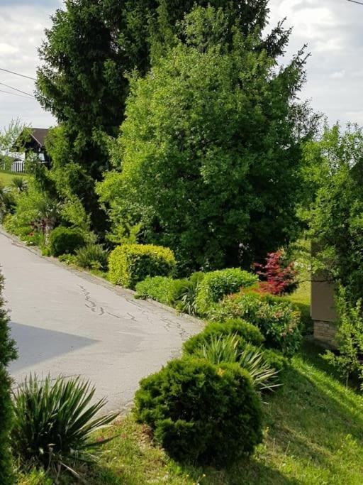 Kuca Za Odmor Juraj - Barsic Villa *